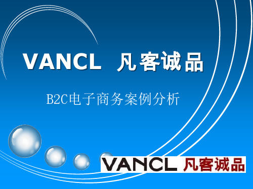 VANCL凡客诚品B2C电子商务案例分析