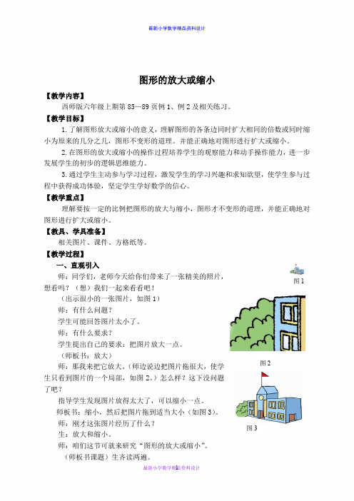 西师大小学数学六年级上册《5.1图形的放大或缩小》word教案