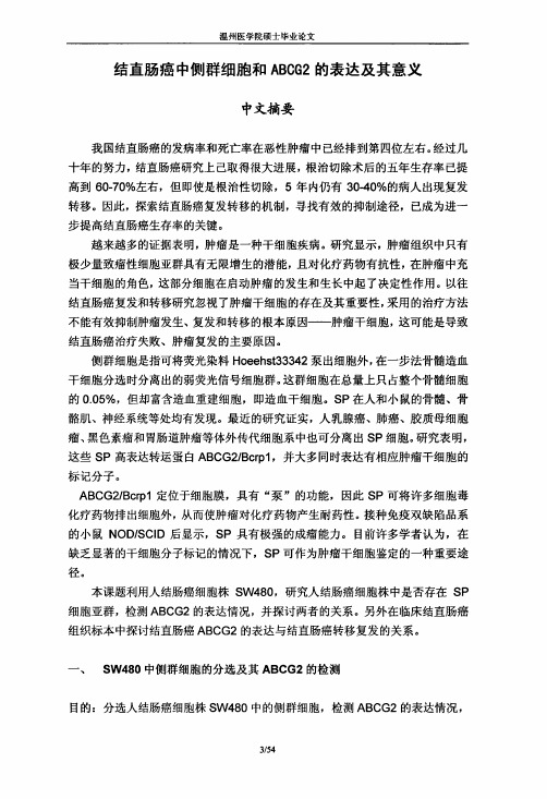 结直肠癌中侧群细胞及ABCG2的表达及其意义