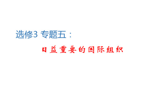 高中政治人教版选修3 专题五：日益重要的国际组织复习课件(共30张PPT)