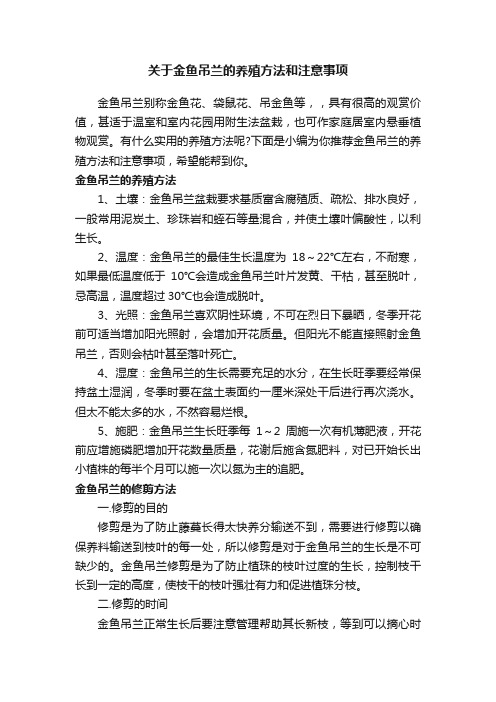 关于金鱼吊兰的养殖方法和注意事项