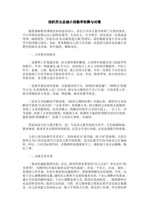 浅析苏北县城小语教学积弊与对策