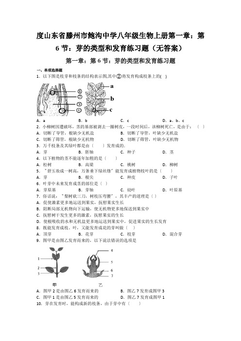 度山东省滕州市鲍沟中学八年级生物上册第一章：第6节：芽的类型和发育练习题(无答案)