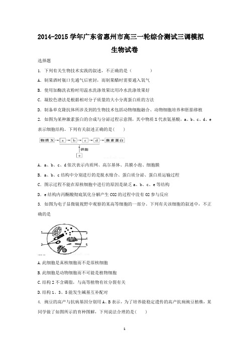 【生物】广东省惠州市2014-2015学年高三一轮综合测试三调模拟