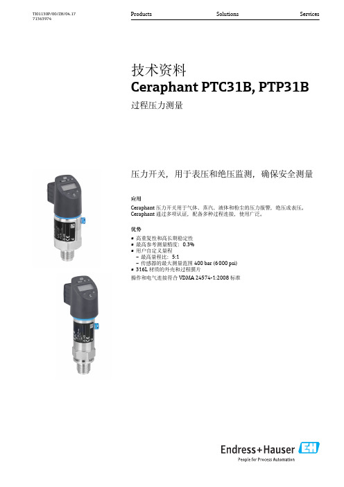 Ceraphant 压力开关说明书