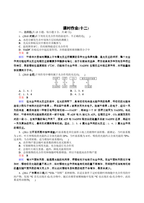 2012高三生物一轮复习同步辅导课后作业(大纲版)第12课时光合作用(选修)