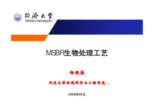 杨殿海-MSBR生物处理工艺