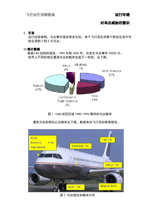 鸟击威胁意识