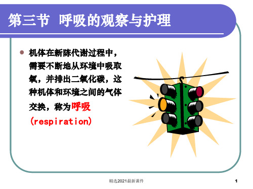 呼吸的观察与护理PPT课件