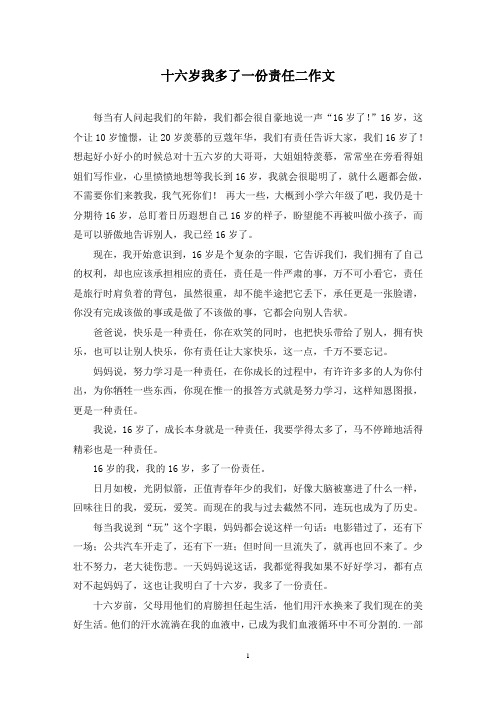 十六岁我多了一份责任二作文