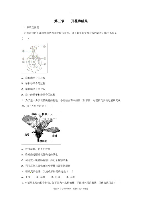 七年级生物上册3.2.3《开花和结果》同步练习3(新版)新人教版