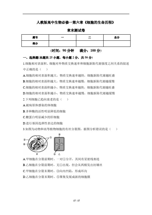 人教版高中生物必修一第六章《细胞的生命历程》章末测试卷(含两套题)