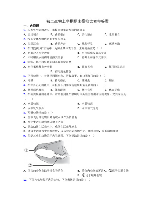 初二生物上学期期末模拟试卷带答案