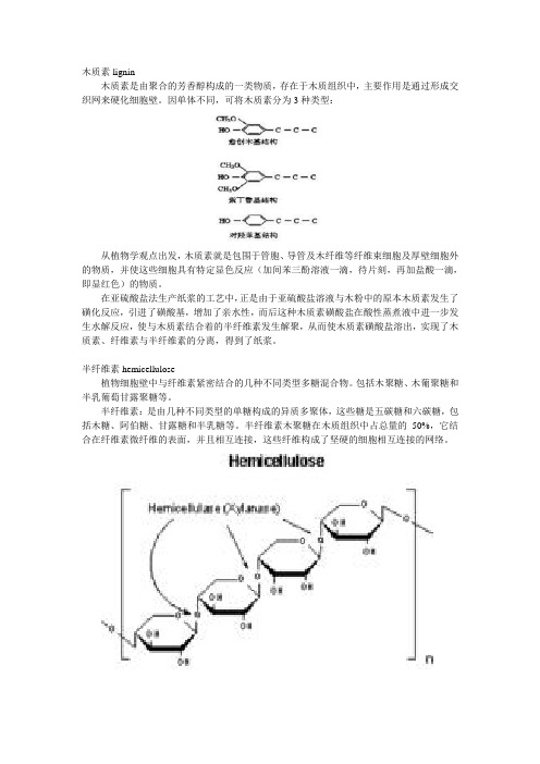 纤维素