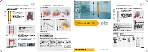 多功能PSENopt光栅