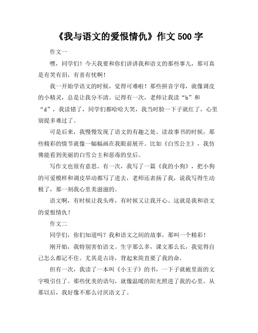 《我与语文的爱恨情仇》作文500字