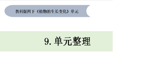 教科版四年级下册科学 1-9《植物的生长变化单元整理》教学课件