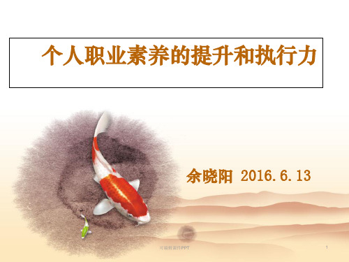 职业素养提升和执行力ppt课件