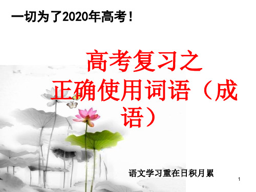 2020年高考复习之正确使用词语(成语)ppt课件