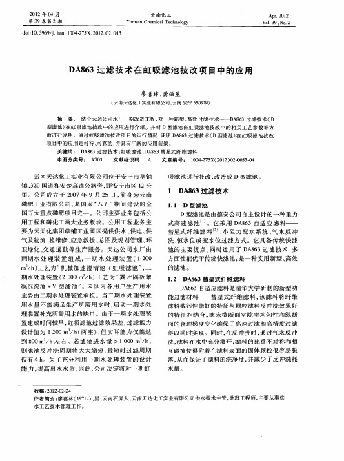 DA863过滤技术在虹吸滤池技改项目中的应用