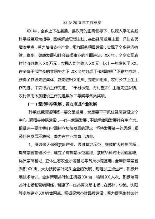 2010年XX乡工作总结