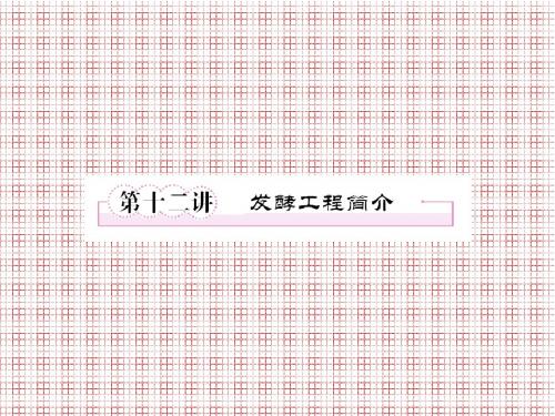 大纲版2012走向高考一轮生物复习同步课件2-第十二讲发酵工程简介