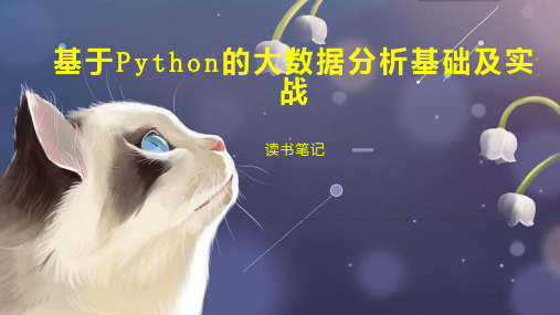 基于Python的大数据分析基础及实战