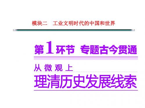 高考历史二轮复习课件专题十 西方人文精神的发展和世界科技文化(共80张PPT)