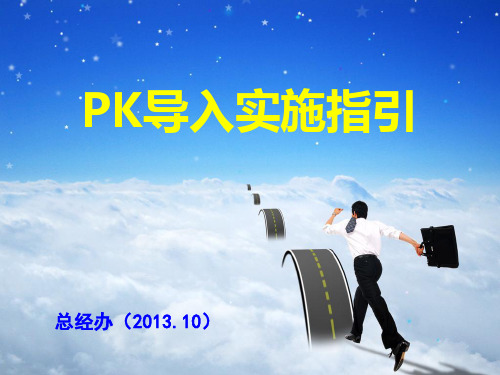 PK导入实施指引(PPT)