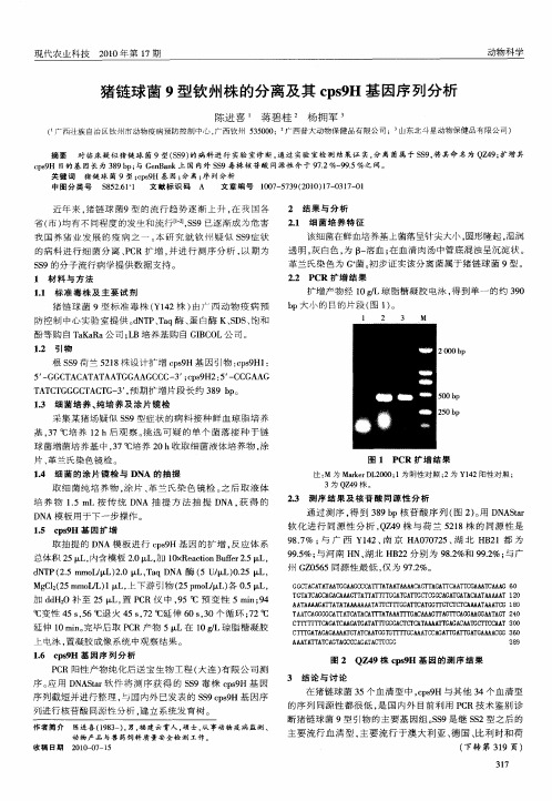 猪链球菌9型钦州株的分离及其cps9H基因序列分析