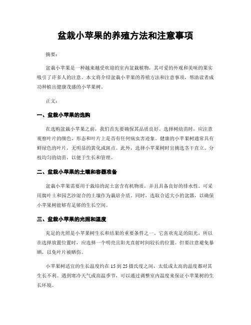 盆栽小苹果的养殖方法和注意事项