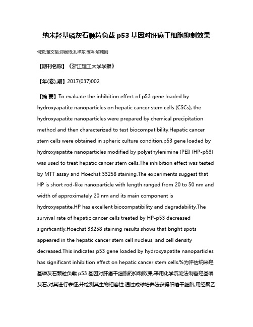 纳米羟基磷灰石颗粒负载p53基因对肝癌干细胞抑制效果