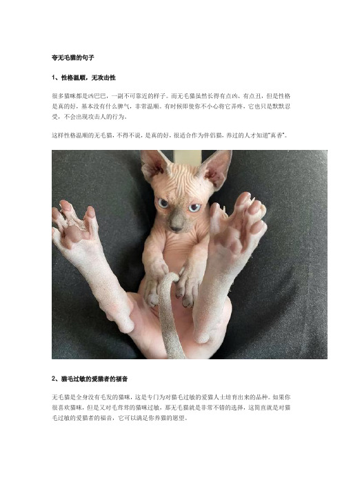 夸无毛猫的句子