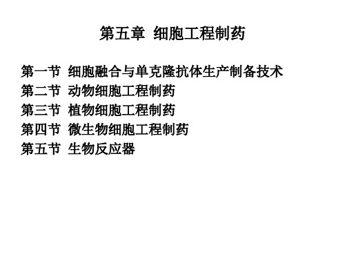 第五章细胞工程制药