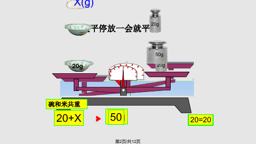 走进动物园简易方程信息窗.pptx