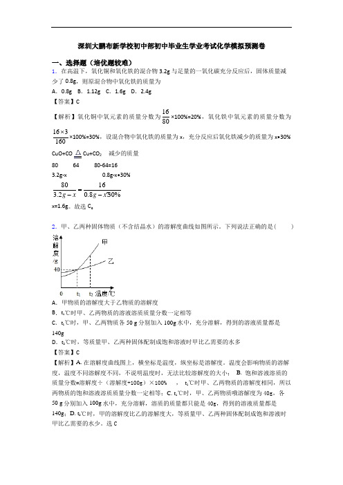 深圳大鹏布新学校初中部初中毕业生学业考试化学模拟预测卷