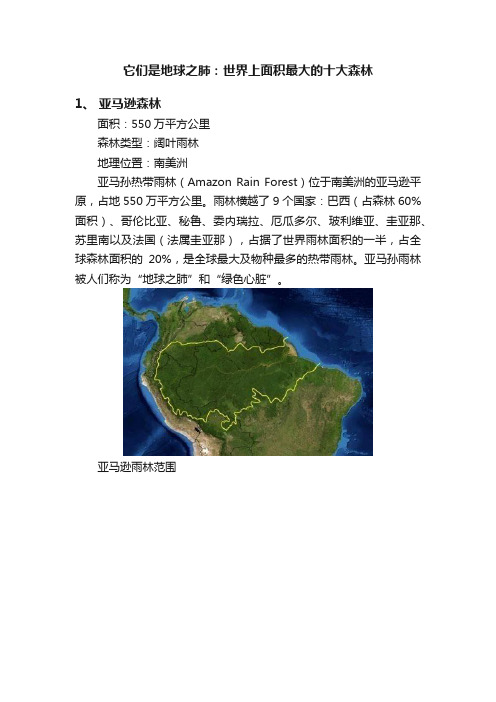 它们是地球之肺：世界上面积最大的十大森林