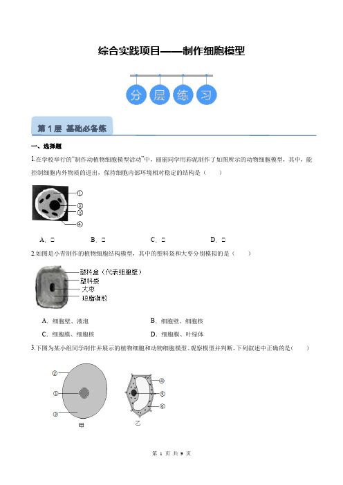 【2024版人教版生物七上同步练习】第1单元 生物综合实践项目 制作细胞模型(分层培优练)(原卷版)