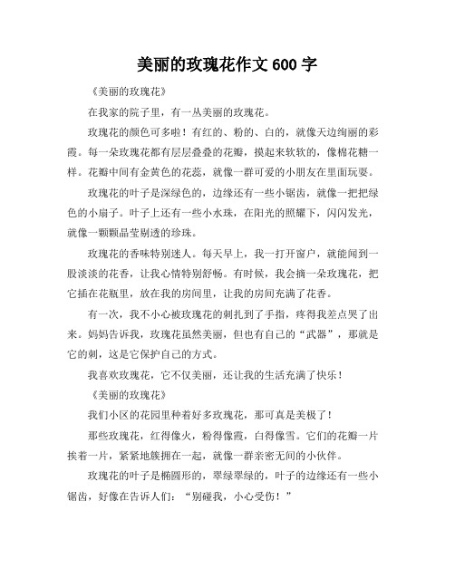 美丽的玫瑰花作文600字