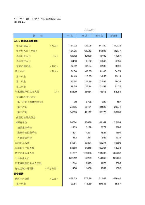 徐州市统计年2020丰县沛县铜山睢宁新沂邳州：21-40 县市社会经济主要指标