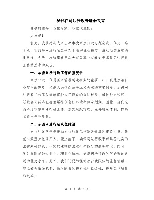 县长在司法行政专题会发言