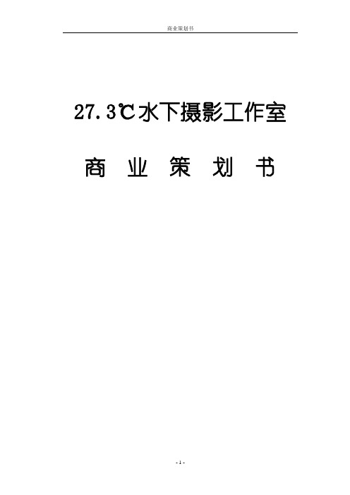 27.3℃水下摄影工作室商业策划书