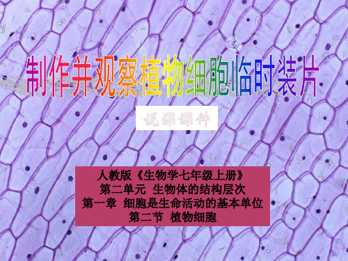 人教版七年级上册生物说课讲稿：2.4.2植物细胞 实验说课课件(共37张PPT)