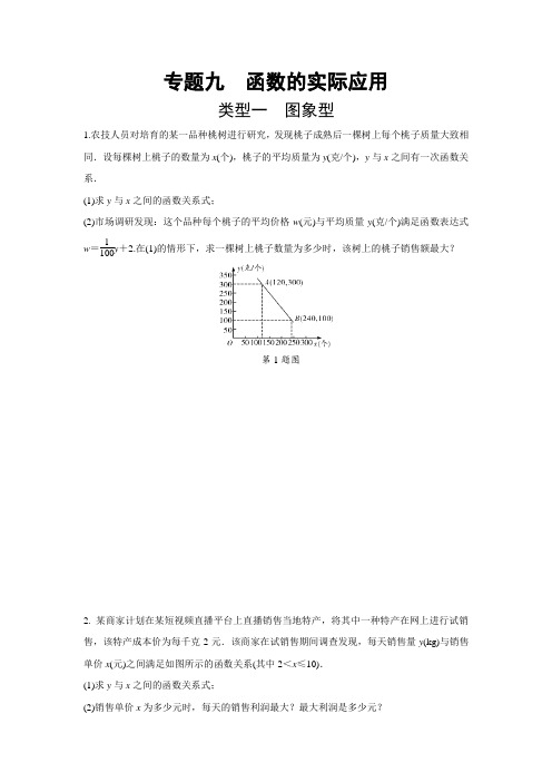 2022年九年级中考数学复习专题九  函数的实际应用