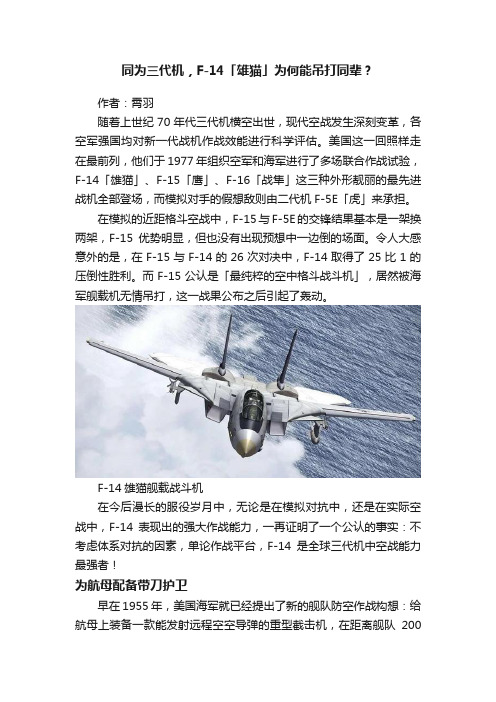 同为三代机，F-14「雄猫」为何能吊打同辈？