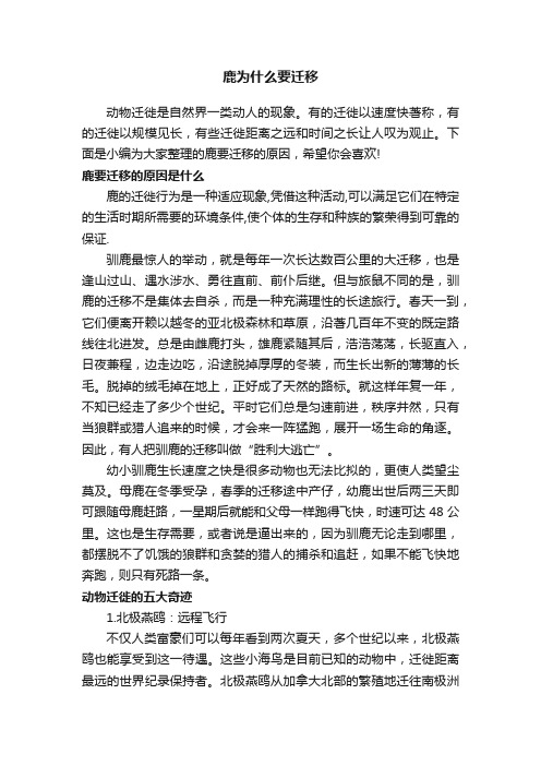 鹿为什么要迁移