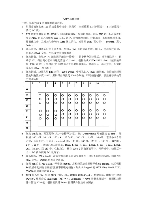 MTT具体步骤