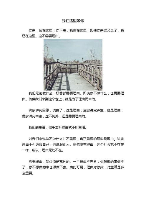 我在这里等你