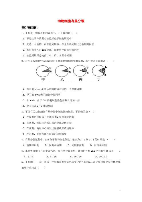 高中生物动物细胞有丝分裂作业苏教版必修1