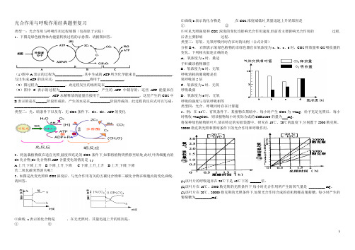 光合作用与呼吸作用经典题型复习